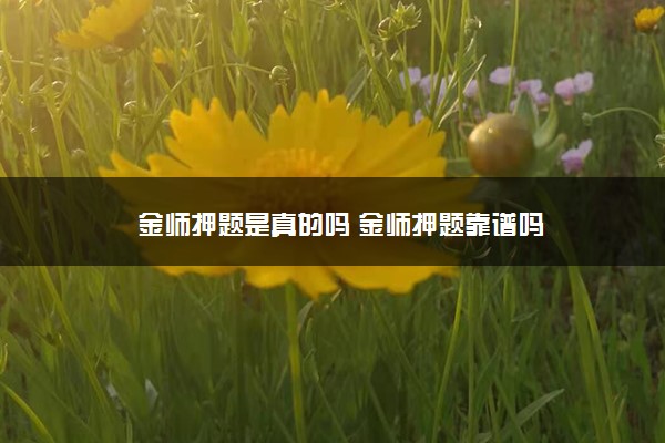 金师押题是真的吗 金师押题靠谱吗