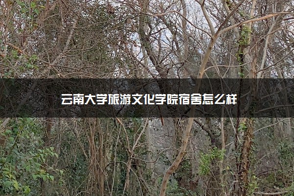 云南大学旅游文化学院宿舍怎么样