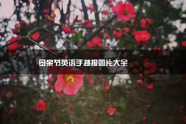 母亲节英语手抄报图片大全