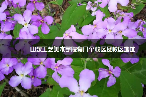 山东工艺美术学院有几个校区及校区地址