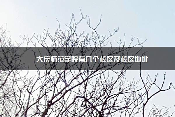 大庆师范学院有几个校区及校区地址