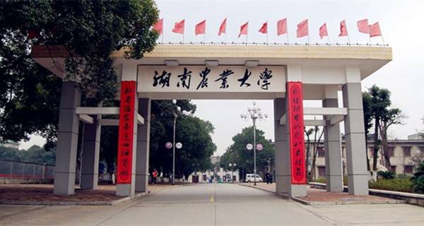 湖南农业大学有几个校区及校区地址