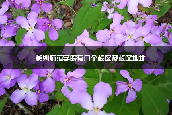 长沙师范学院有几个校区及校区地址