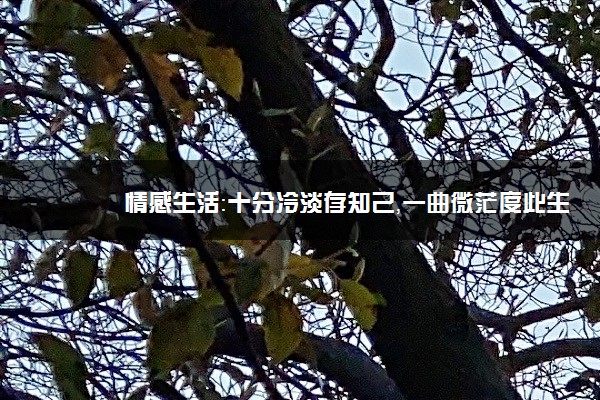 情感生活：十分冷淡存知己，一曲微茫度此生