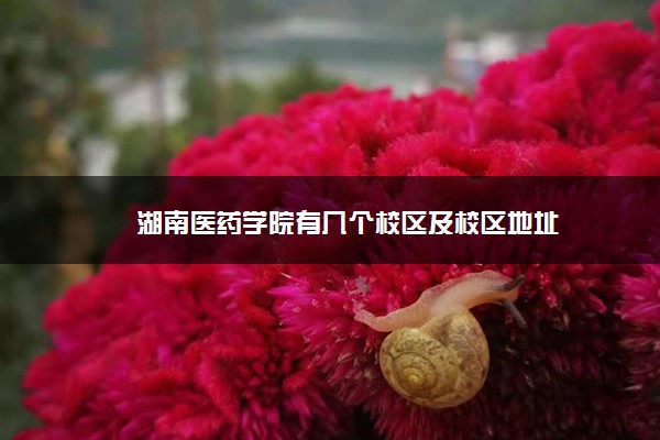 湖南医药学院有几个校区及校区地址