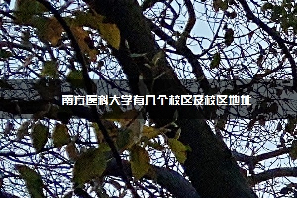 南方医科大学有几个校区及校区地址