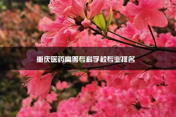 重庆医药高等专科学校专业排名