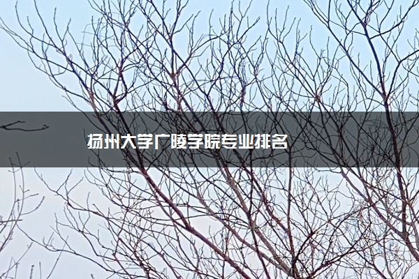 扬州大学广陵学院专业排名