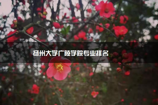 扬州大学广陵学院专业排名