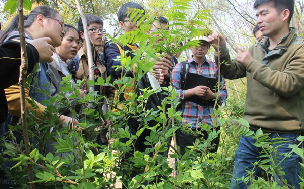 信阳农林学院专业排名