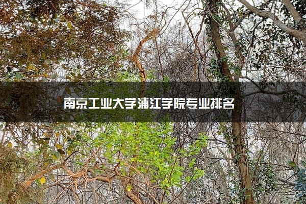 南京工业大学浦江学院专业排名