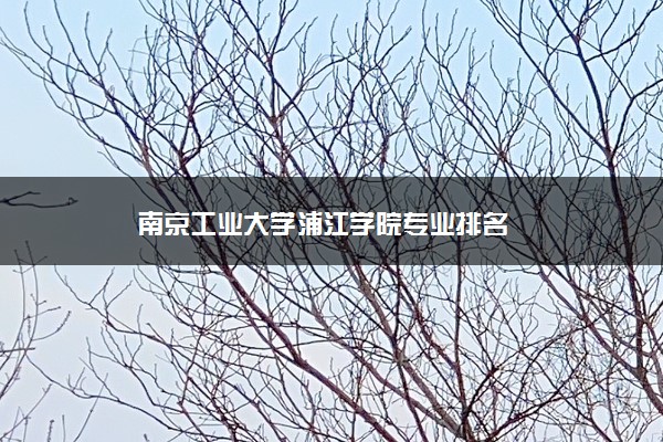 南京工业大学浦江学院专业排名