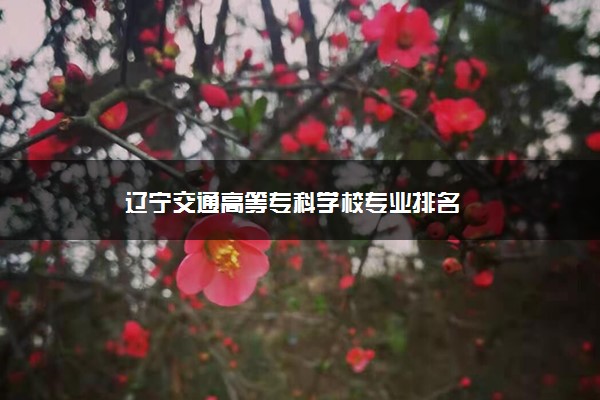 辽宁交通高等专科学校专业排名