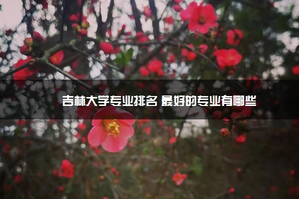 吉林大学专业排名 最好的专业有哪些