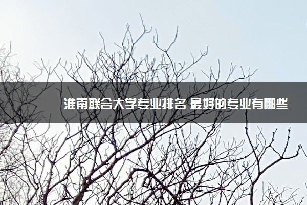 淮南联合大学专业排名 最好的专业有哪些