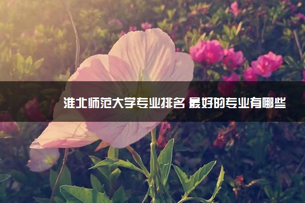 淮北师范大学专业排名 最好的专业有哪些