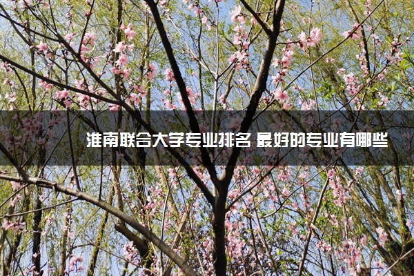 淮南联合大学专业排名 最好的专业有哪些