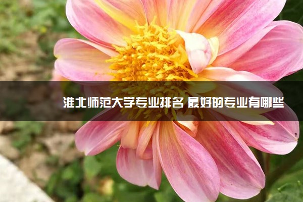 淮北师范大学专业排名 最好的专业有哪些