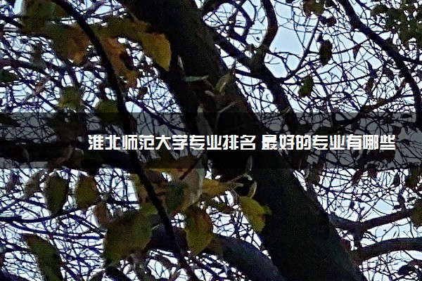 淮北师范大学专业排名 最好的专业有哪些