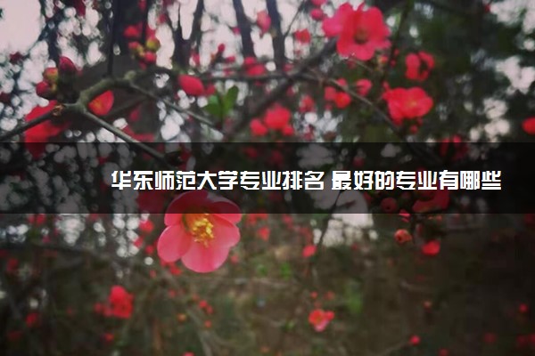 华东师范大学专业排名 最好的专业有哪些