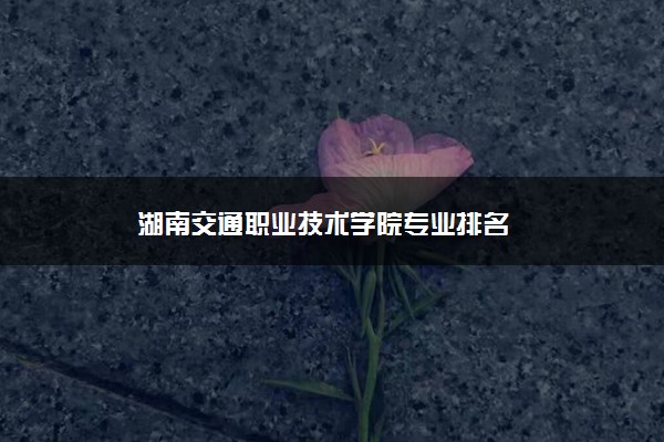 湖南交通职业技术学院专业排名