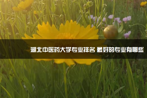 湖北中医药大学专业排名 最好的专业有哪些