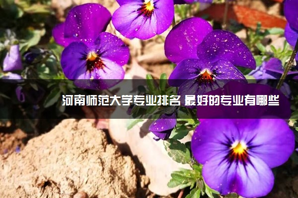 河南师范大学专业排名 最好的专业有哪些