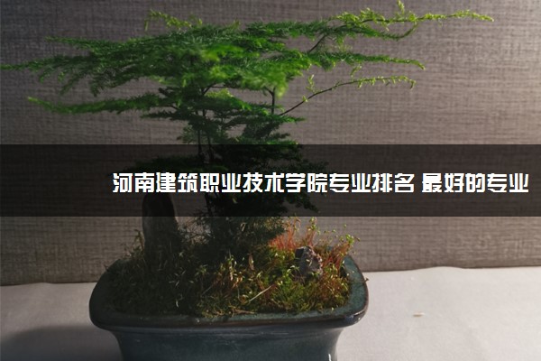 河南建筑职业技术学院专业排名 最好的专业有哪些