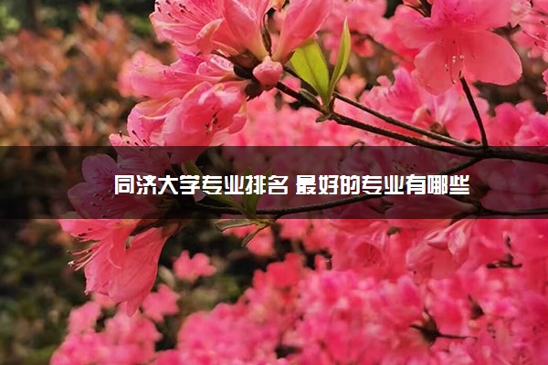 同济大学专业排名 最好的专业有哪些