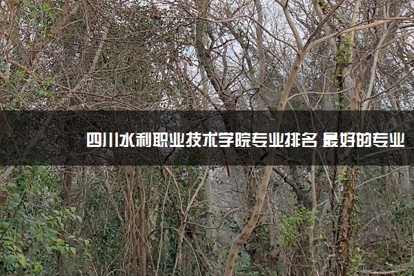 四川水利职业技术学院专业排名 最好的专业有哪些