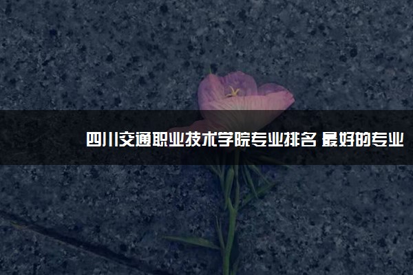 四川交通职业技术学院专业排名 最好的专业有哪些