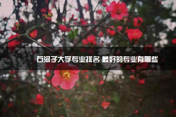 石河子大学专业排名 最好的专业有哪些