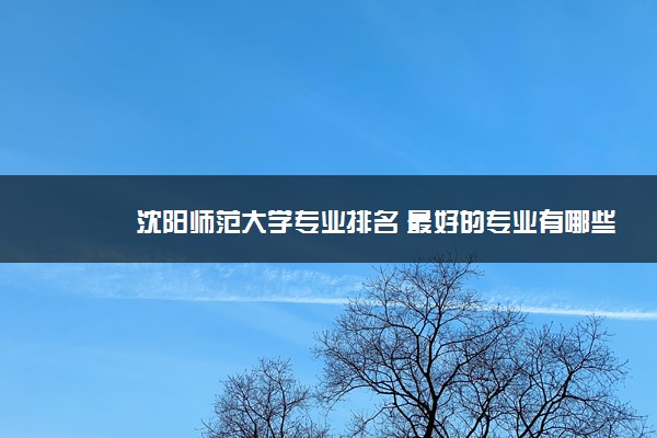 沈阳师范大学专业排名 最好的专业有哪些