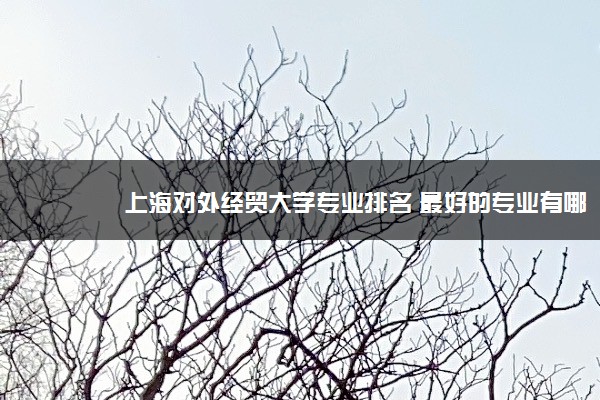 上海对外经贸大学专业排名 最好的专业有哪些