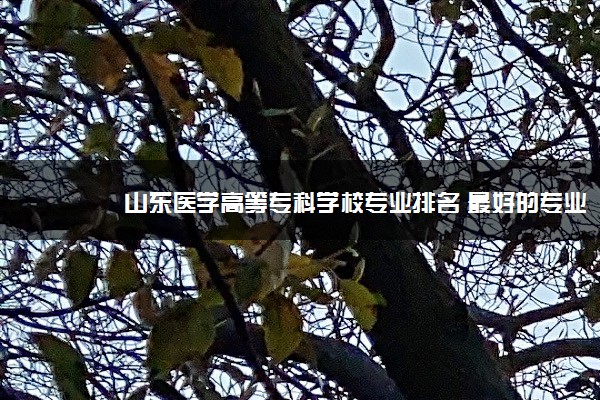 山东医学高等专科学校专业排名 最好的专业有哪些