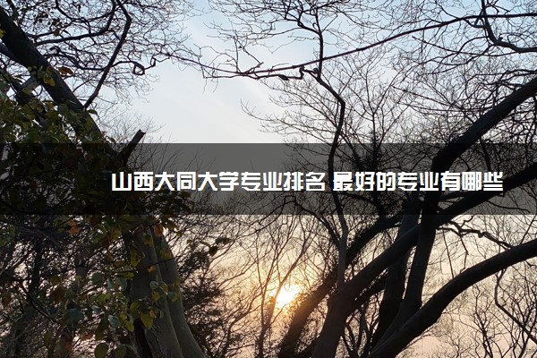 山西大同大学专业排名 最好的专业有哪些