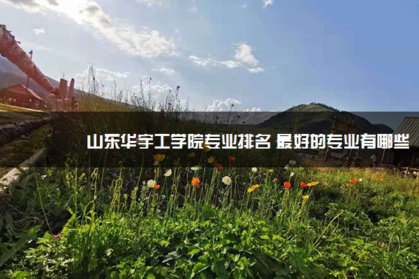 山东华宇工学院专业排名 最好的专业有哪些