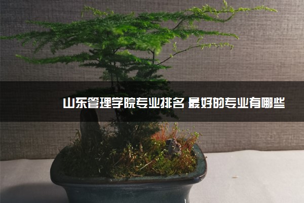 山东管理学院专业排名 最好的专业有哪些