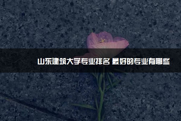 山东建筑大学专业排名 最好的专业有哪些