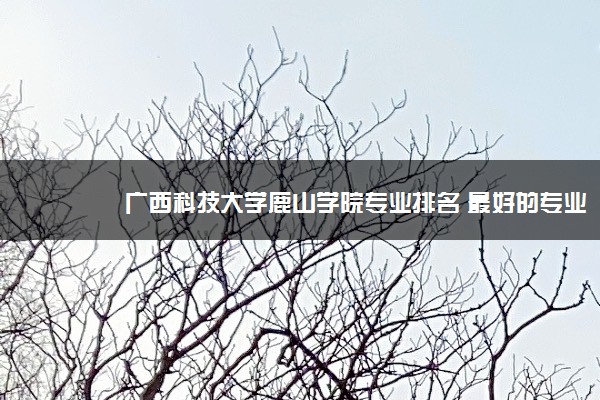 广西科技大学鹿山学院专业排名 最好的专业有哪些