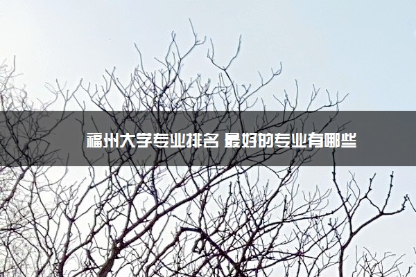 福州大学专业排名 最好的专业有哪些