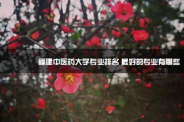 福建中医药大学专业排名 最好的专业有哪些