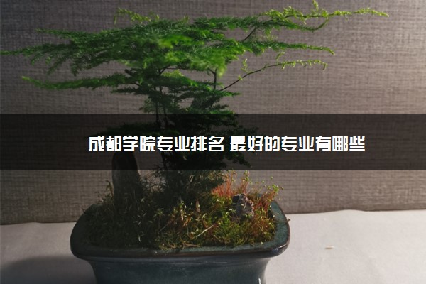 成都学院专业排名 最好的专业有哪些