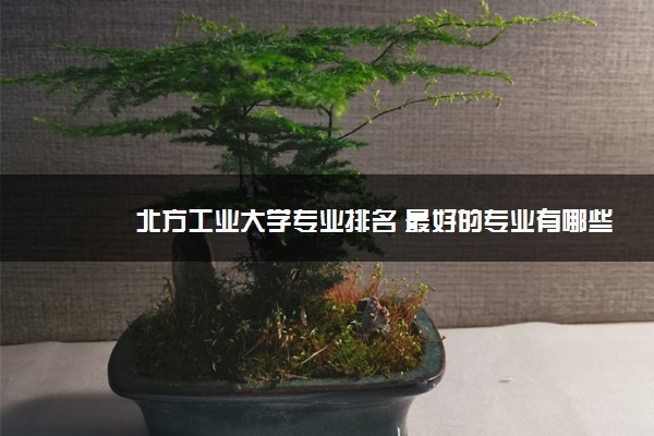 北方工业大学专业排名 最好的专业有哪些