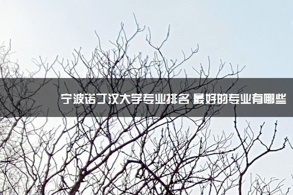 宁波诺丁汉大学专业排名 最好的专业有哪些