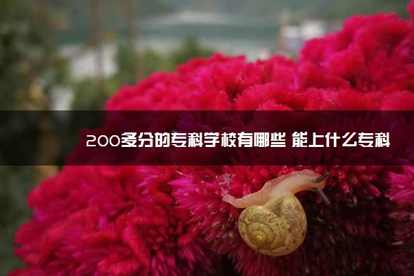 200多分的专科学校有哪些 能上什么专科学校