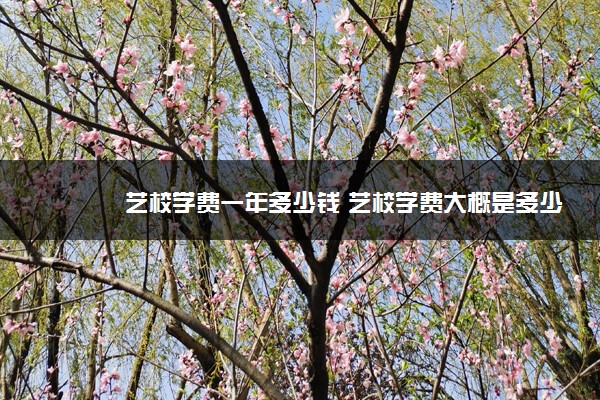 艺校学费一年多少钱 艺校学费大概是多少