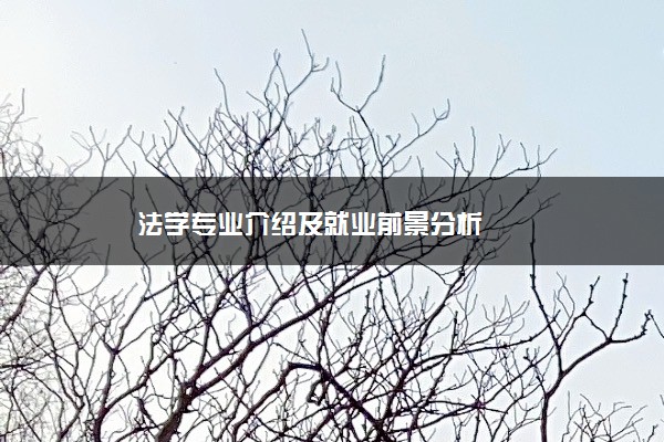 法学专业介绍及就业前景分析