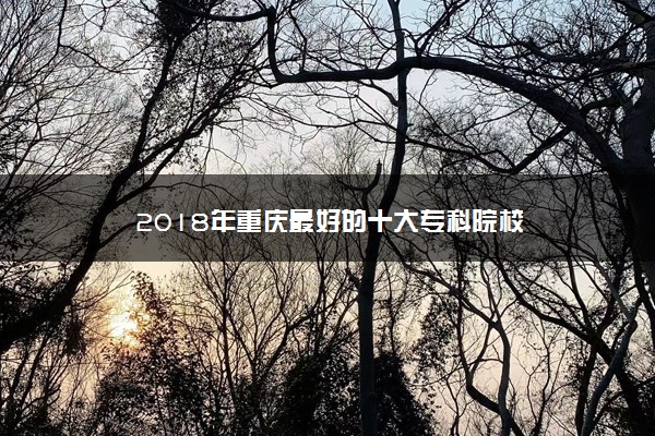 2018年重庆最好的十大专科院校