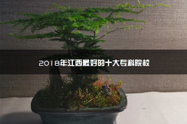 2018年江西最好的十大专科院校